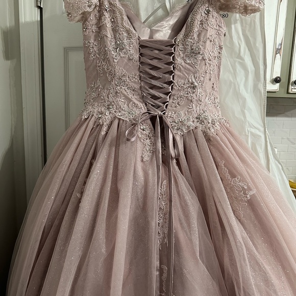 Fiesta Gowns by House of Wu Size 12 - Picture 9 of 16